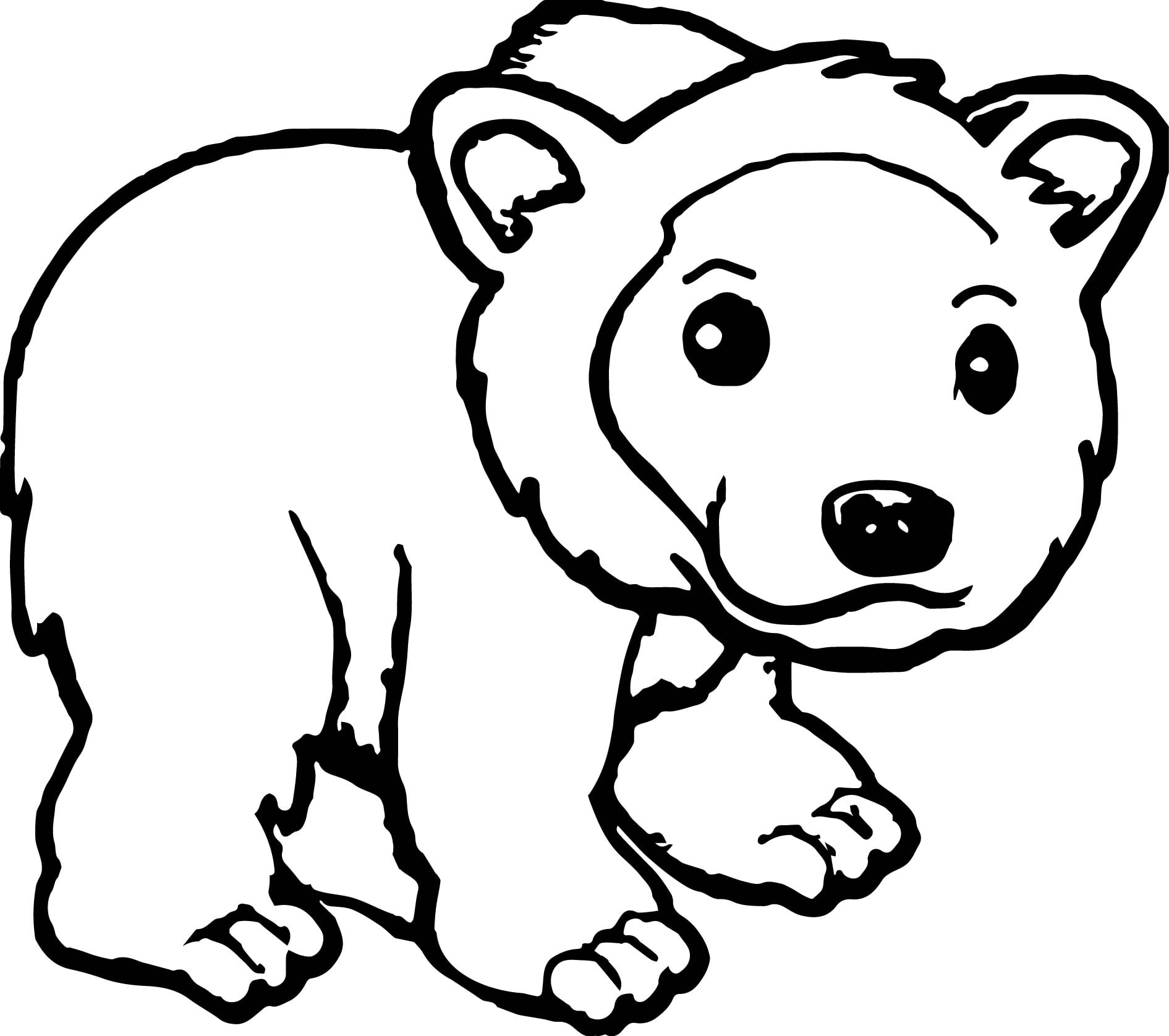 Illustration Cute Grizzly Brown Kodiak Bear Coloring Page Pages