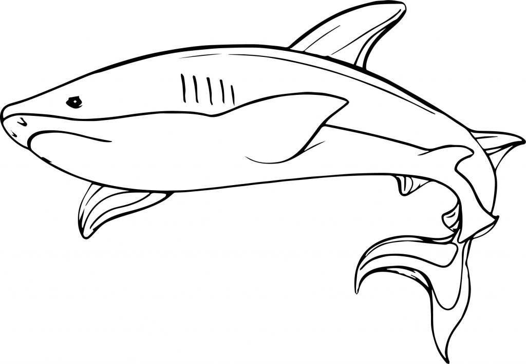 Underwater Shark Coloring Page | Wecoloringpage.com