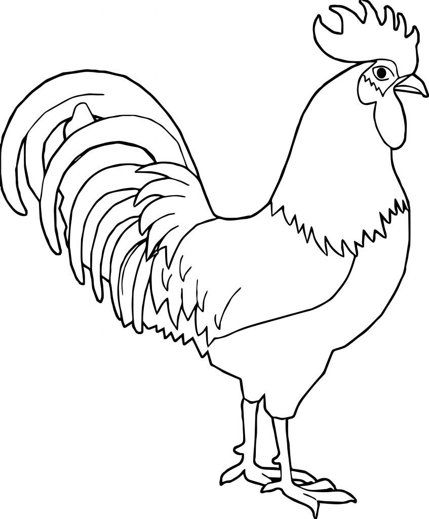 Any Rooster Coloring Page Wecoloringpagecom