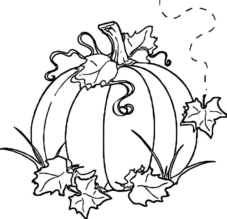 free fall pumpkin coloring pages