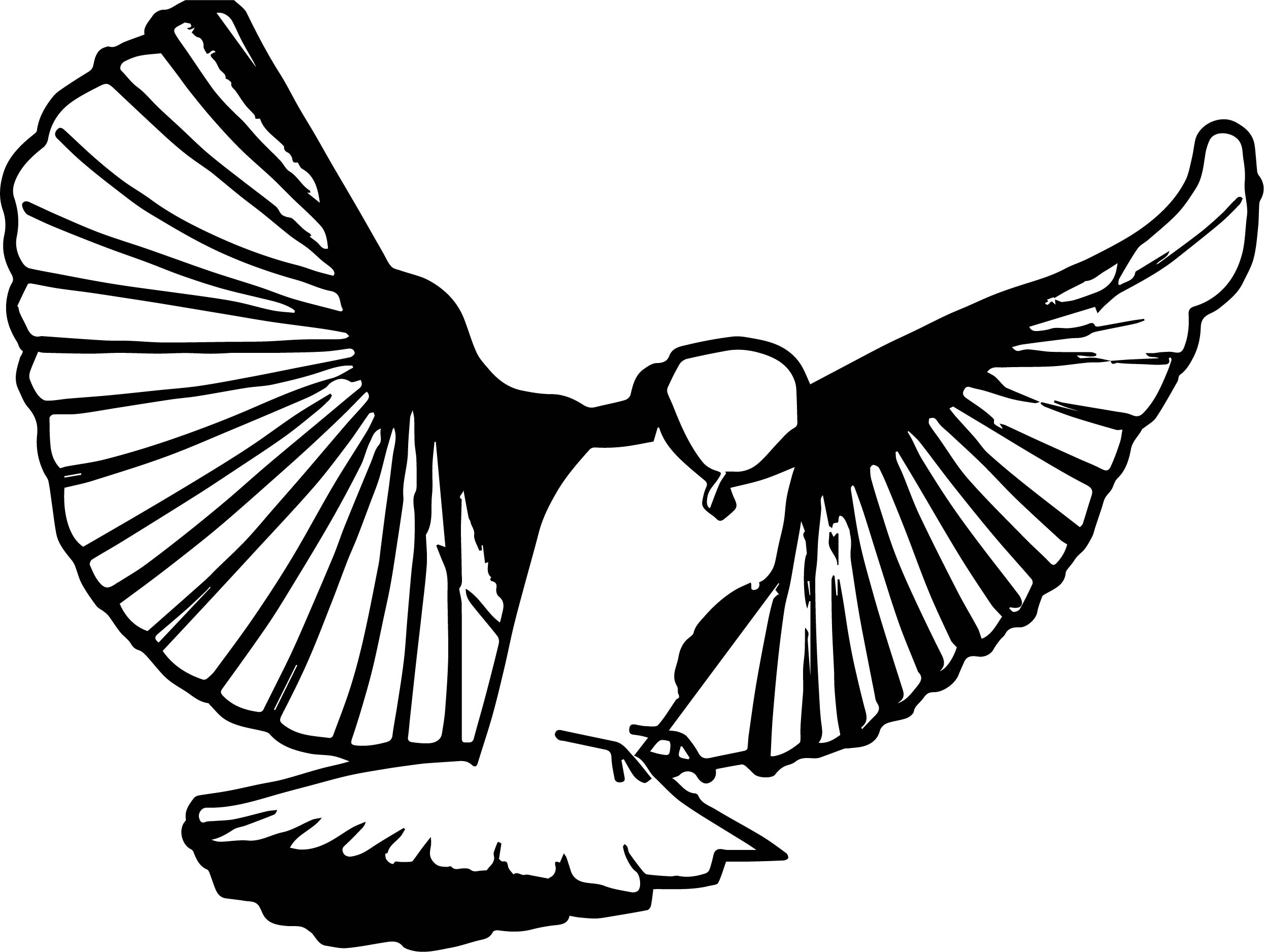 For Bird Coloring Page Wecoloringpage