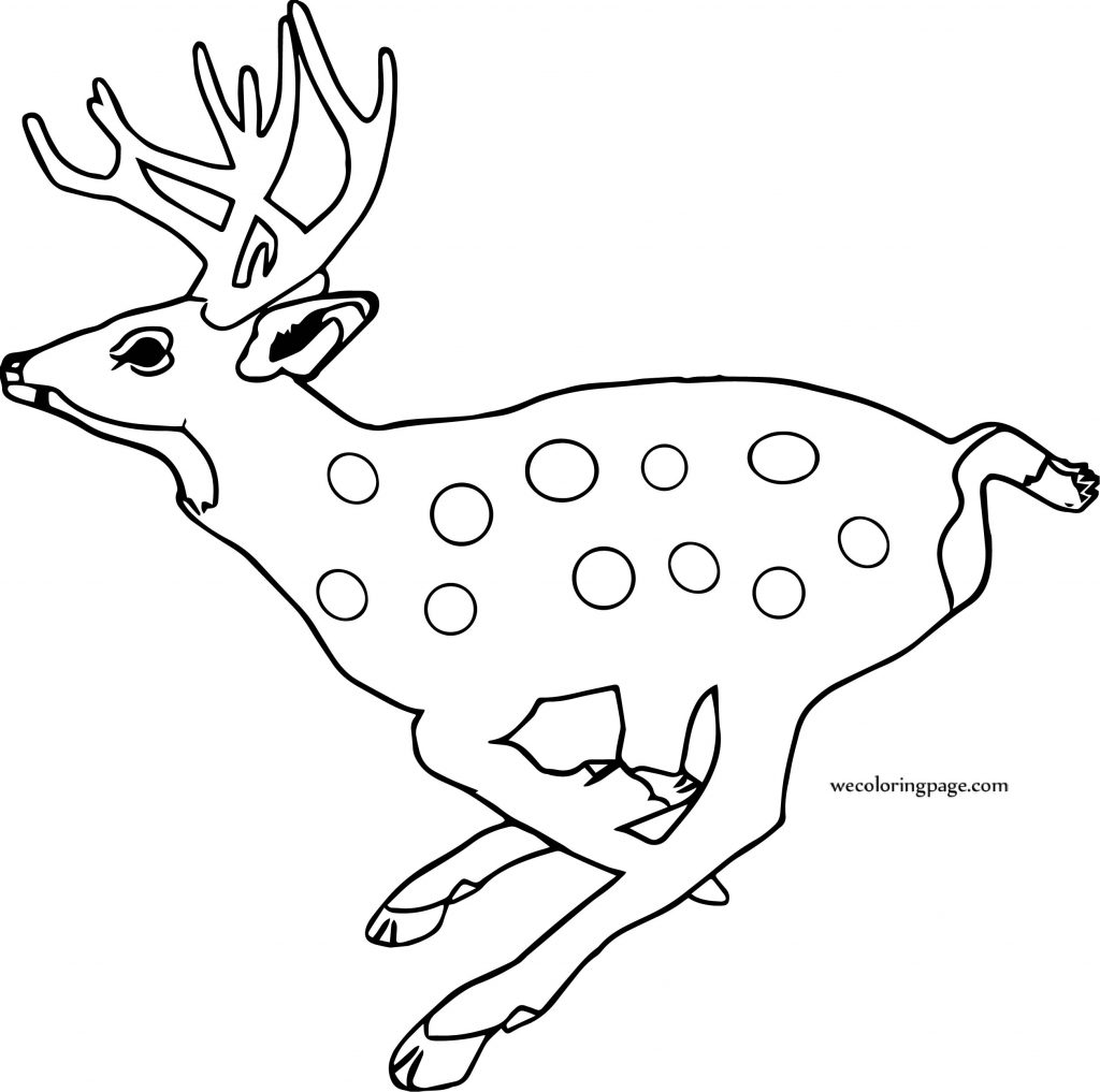 Baby Deer Running Spotted Deer Coloring Page | Wecoloringpage.com