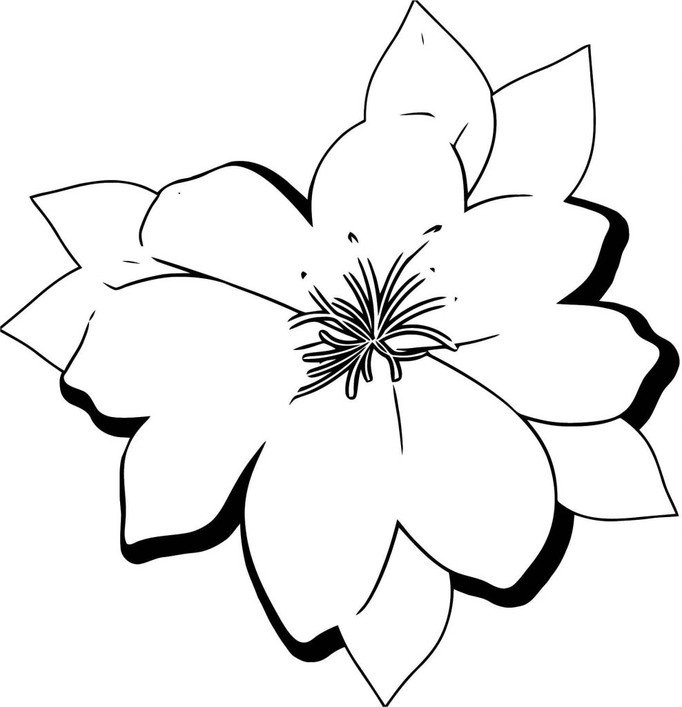 Best Flower Coloring Page | Wecoloringpage.com