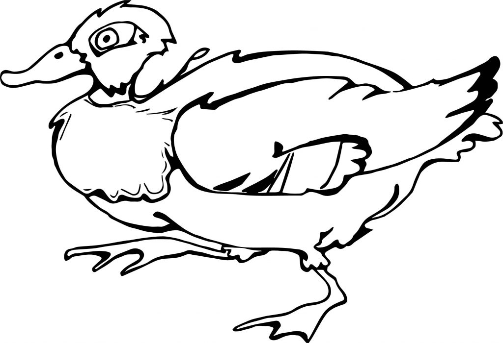 Flying Duck Coloring Page | Wecoloringpage.com