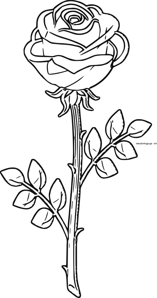 Rose Red Rose Clip Art Coloring Page Wecoloringpage