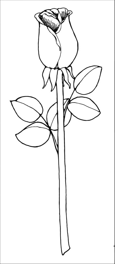 Heart Rose Sketch Coloring Page Wecoloringpage