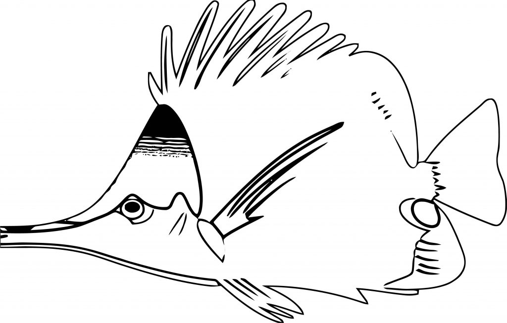 Fish Coloring Page Wecoloringpage 039 | Wecoloringpage.com