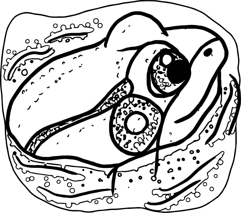 frog-coloring-pages-wecoloringpage