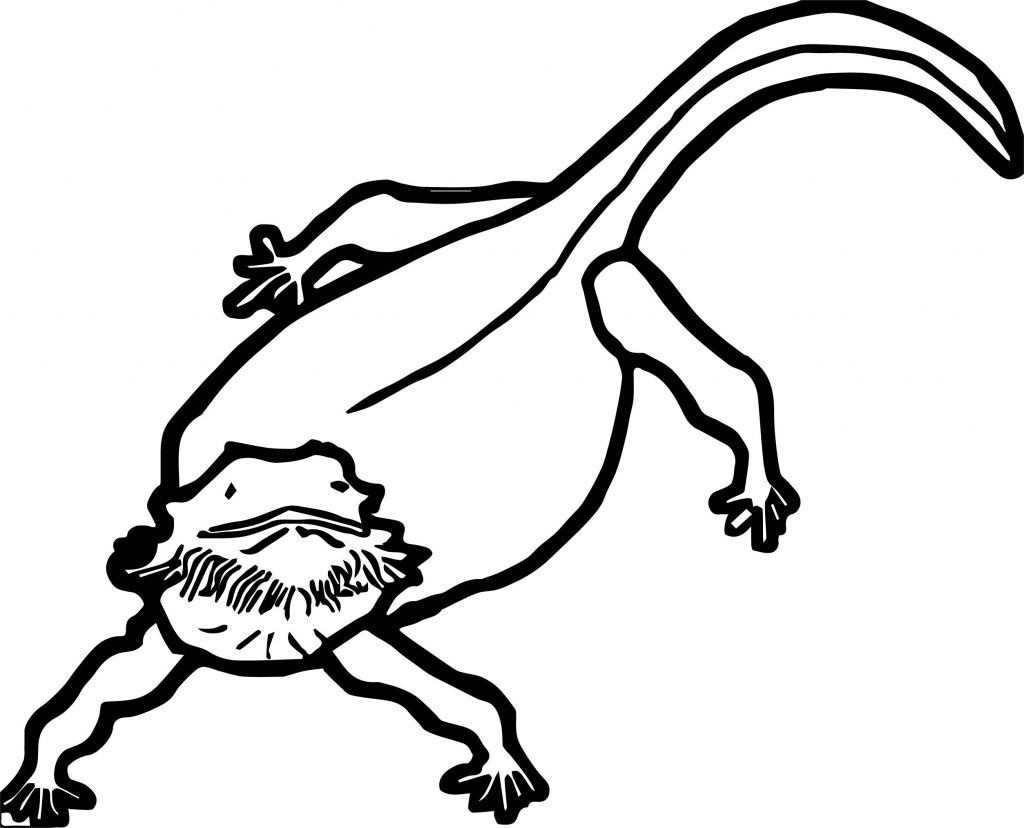 Lizard Coloring Pages | Wecoloringpage.com