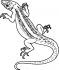 Lizard Coloring Pages | Wecoloringpage.com