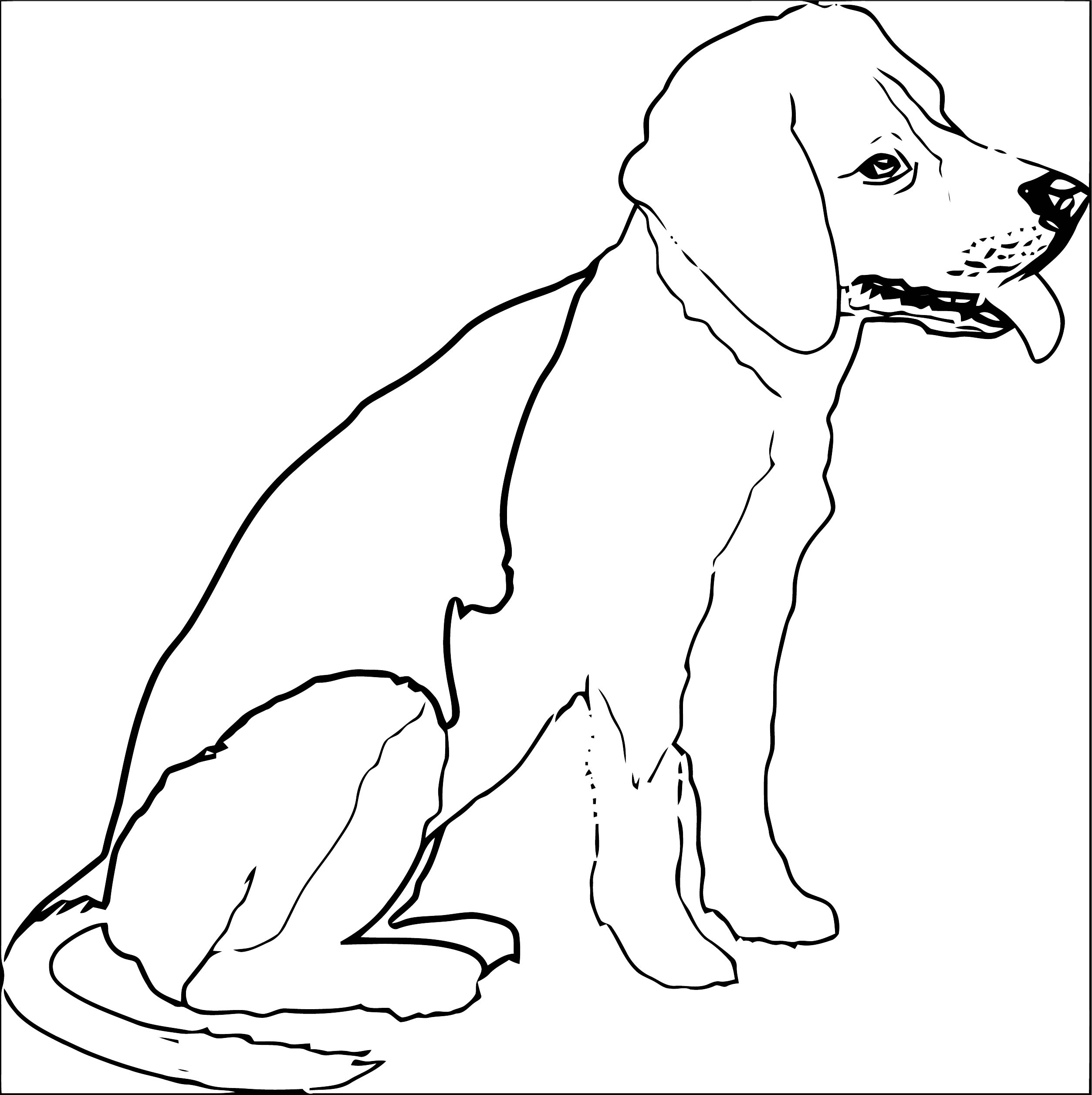 Realistic Outline Puppy Dog Coloring Page [Converted]