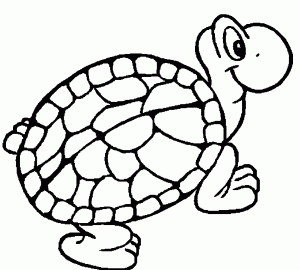 Tortoise - Turtle Coloring Page