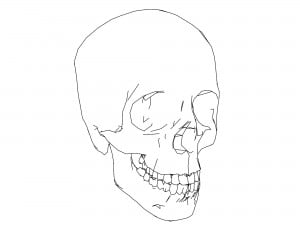 Skull Sketch Coloring Page