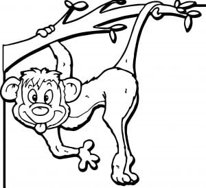Affe Bild Zoo Coloring Page