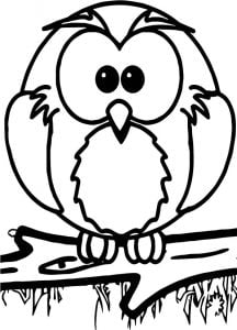 1st Grade School Owl Coloring Page