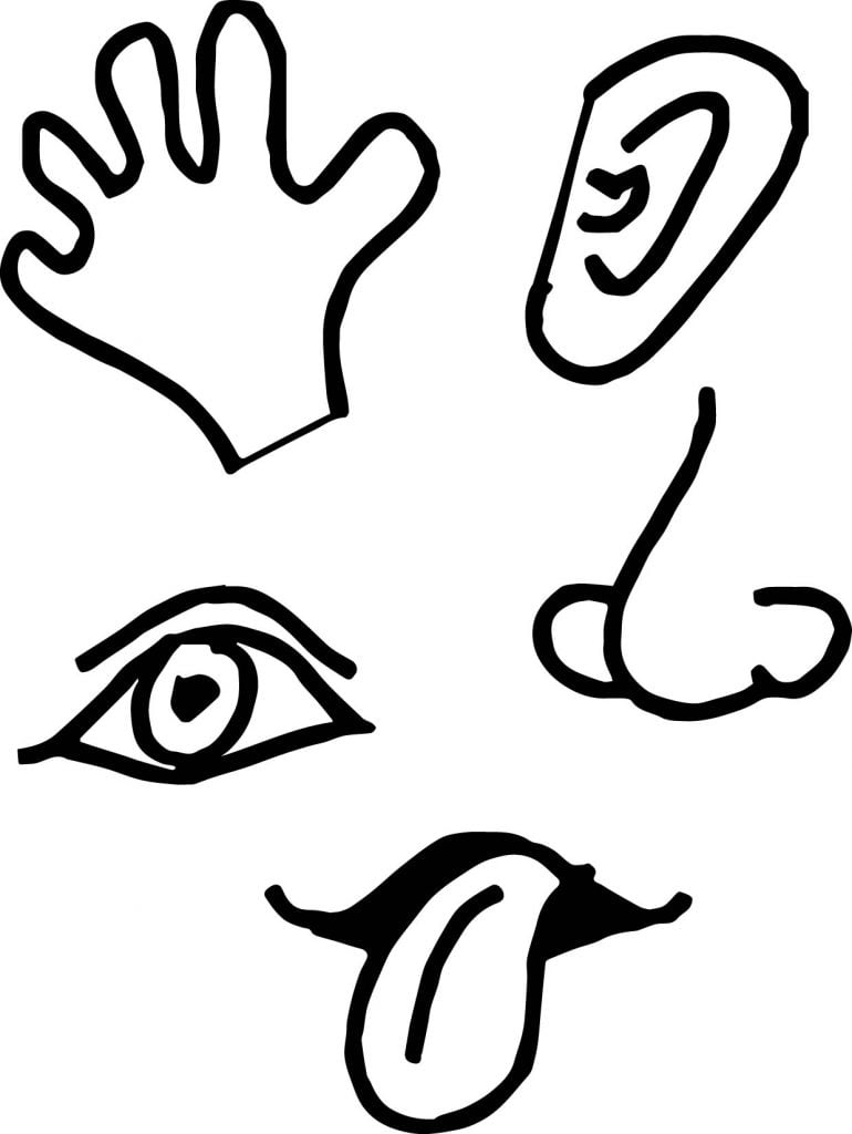 5 Senses Picture Coloring Page - Wecoloringpage.com