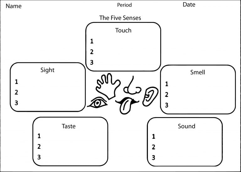 Five Senses Graphic Organizer Coloring Page Wecoloringpage 13688 | The ...