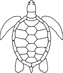 Sea Animals Turtle Coloring Page
