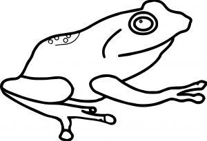 Amphibian Frog Coloring Page