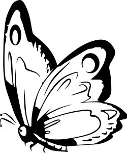 Free Art Butterfly Coloring Page