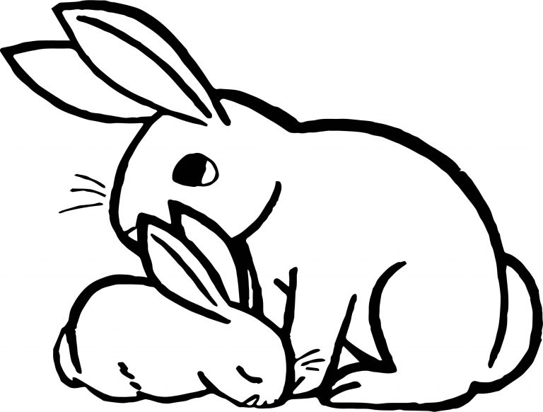 Rabbit Animal Coloring Page - Wecoloringpage.com