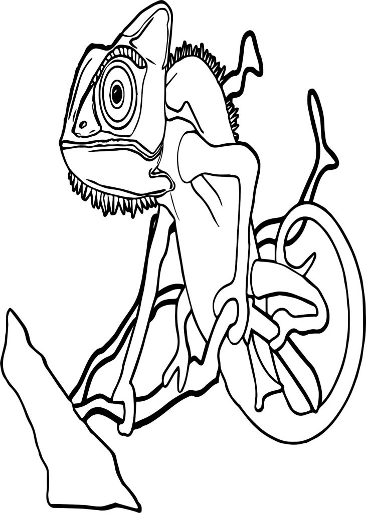 10 Amazon Animal Coloring Pages for Creative Kids and Adults