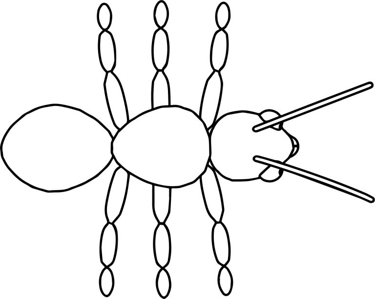 Ant Top View Coloring Page - Wecoloringpage.com