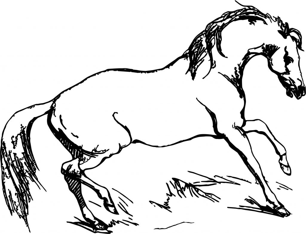 Arabian Horse Fiesty Coloring Page | Wecoloringpage.com