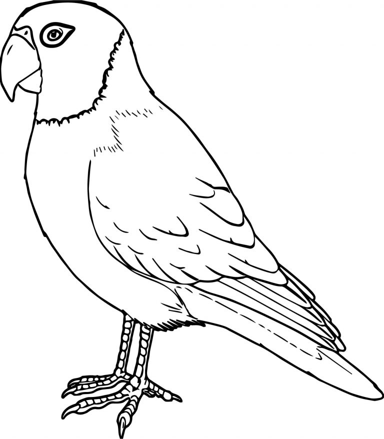 Big Parrot Coloring Page - Wecoloringpage.com