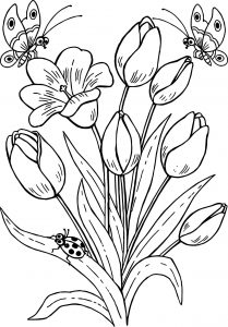 Drawing Butterfly Flowers Tulips Coloring Page