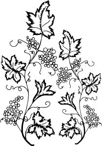 Grape Leaf Ivy Coloring Page
