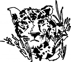 Rainforest Tiger Coloring Page