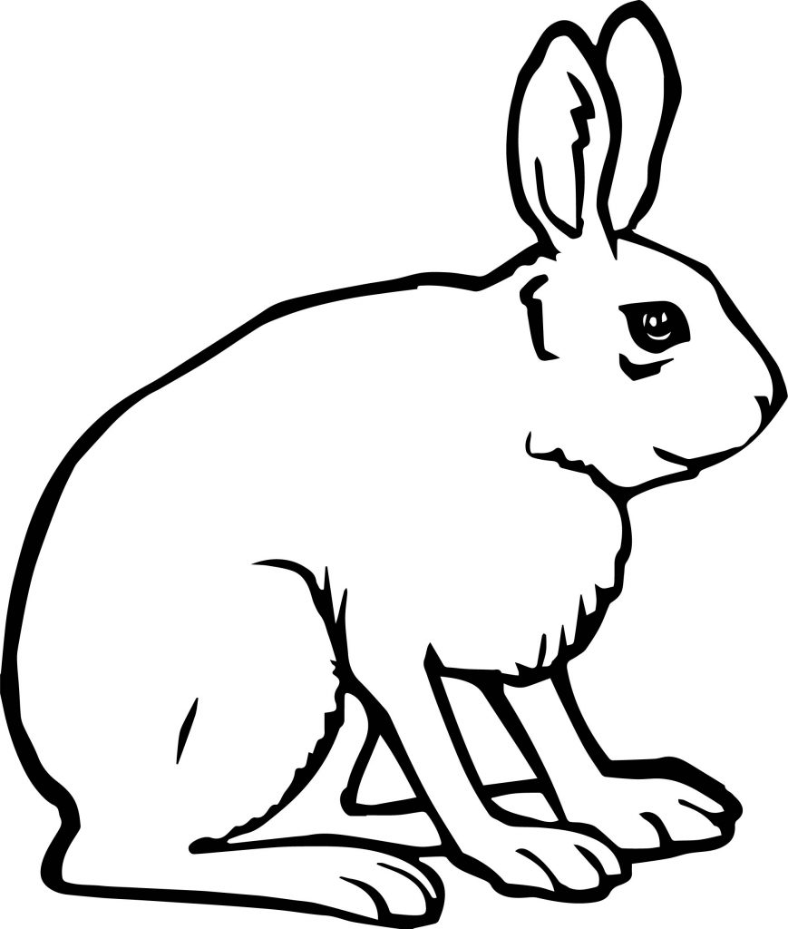 side-rabbit-coloring-page-wecoloringpage