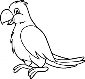 Sweet Parrot Coloring Page