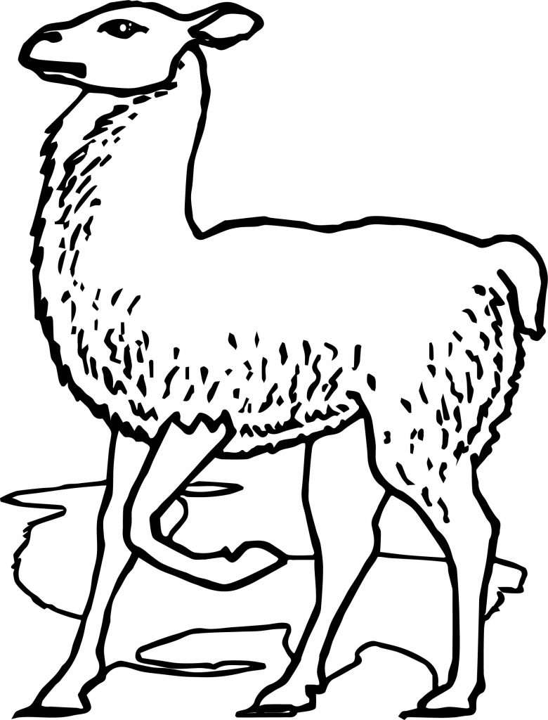 Walk Alpaca Coloring Page | Wecoloringpage.com