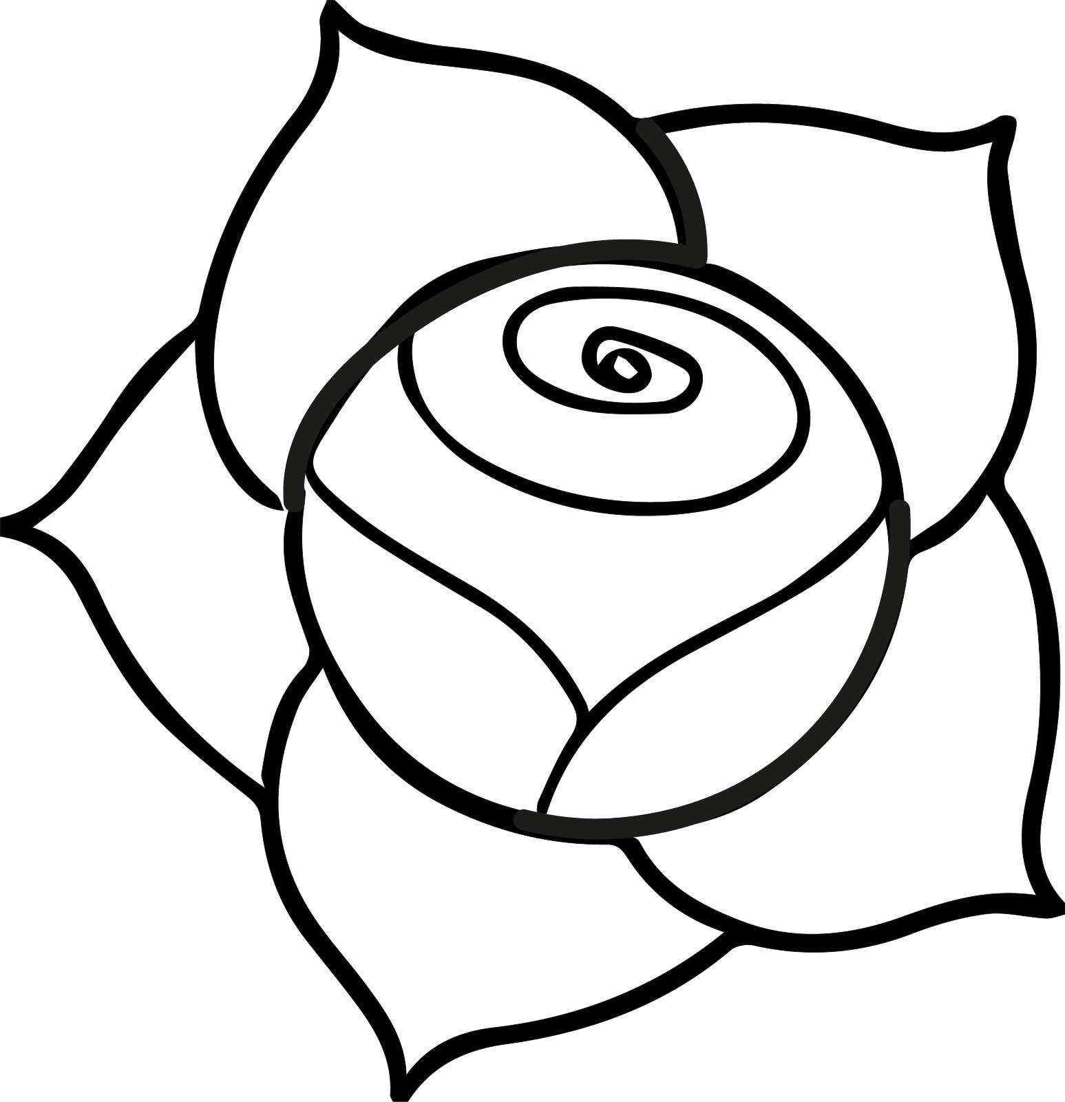 A Illustration Of A Pink Rose With Dark Outline On A White Background ...