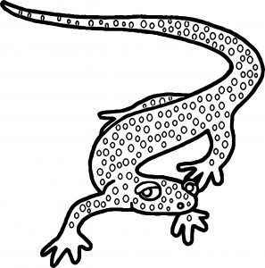 Amphibian Reptile Coloring Page