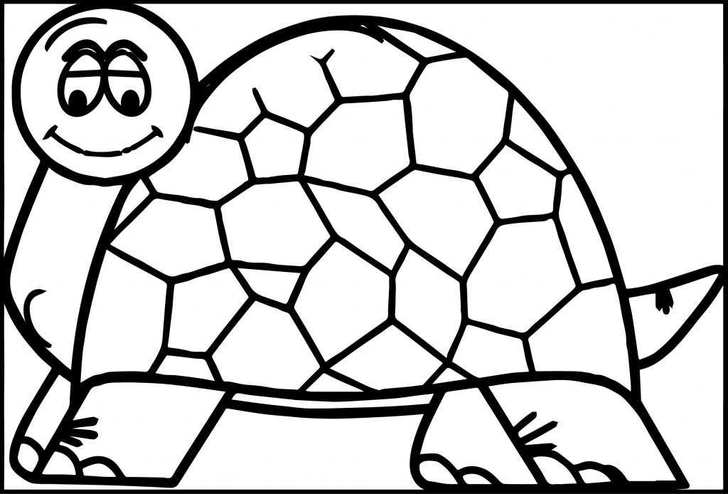 Amphibian Turtle Coloring Page - Wecoloringpage.com