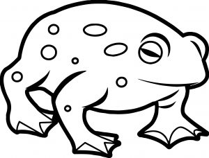 Amphibian Waiting Frog Coloring Page