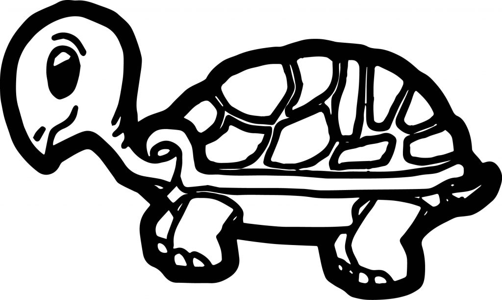 Black Tortoise Turtle Coloring Page - Wecoloringpage.com