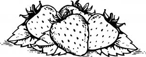 Fruits Free Downloads Fruits Download Coloring Page