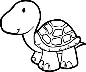 Just Tortoise Turtle Coloring Page