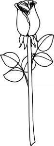 Simple Rose Printable Picture Coloring Page