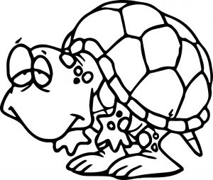 Slow Tortoise Turtle Coloring Page