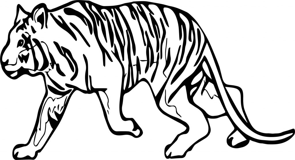 Tiger Walking Coloring Page | Wecoloringpage.com