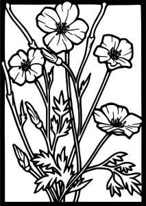 Tom Coloured Poppy Stained Glass Flowers Coloring Page