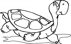 Tortoise Turtle Cool Walking Coloring Page