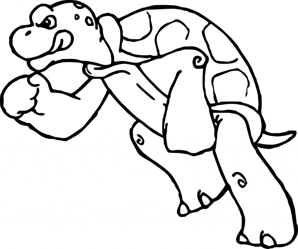 Tortoise Turtle Fight Coloring Pages - Wecoloringpage.com