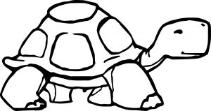 Tortoise Turtle Go Coloring Page