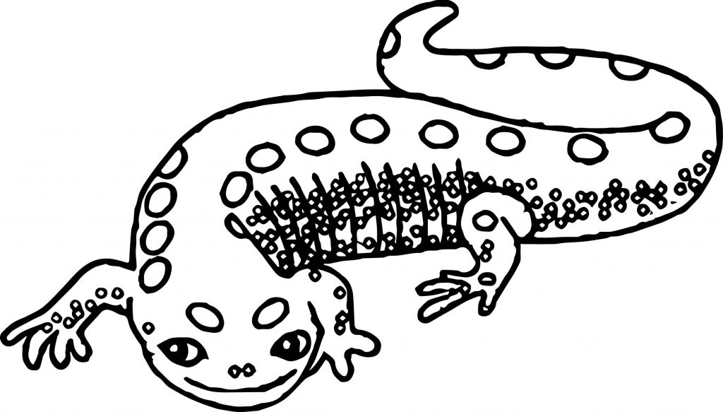 Just Amphibian Coloring Page | Wecoloringpage.com